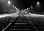 RACCORDO FERROVIARIO STAZIONE INTERPORTO (Luigi Sacchetto)